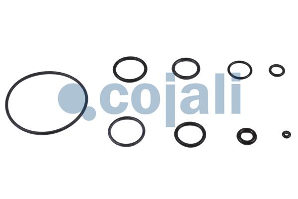 Cojali Koppelingsbekrachtiger reparatieset 6034008