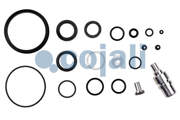 Koppelingsbekrachtiger reparatieset Cojali 6034009