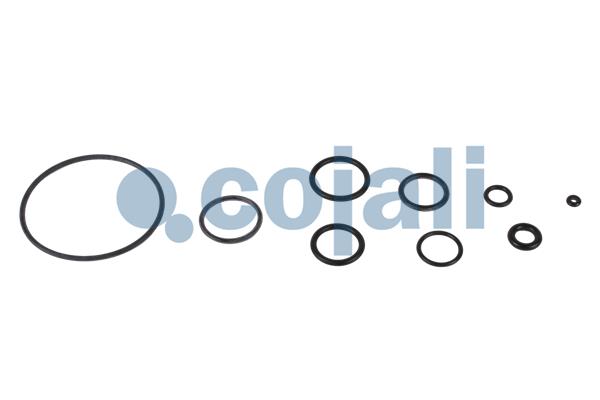 Cojali Koppelingsbekrachtiger reparatieset 6034009