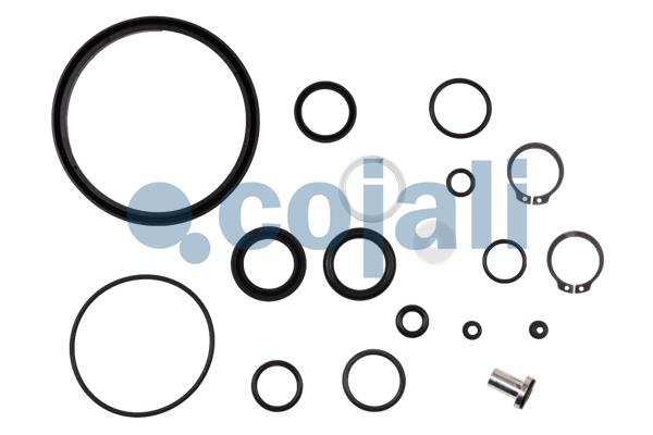 Koppelingsbekrachtiger reparatieset Cojali 6034010