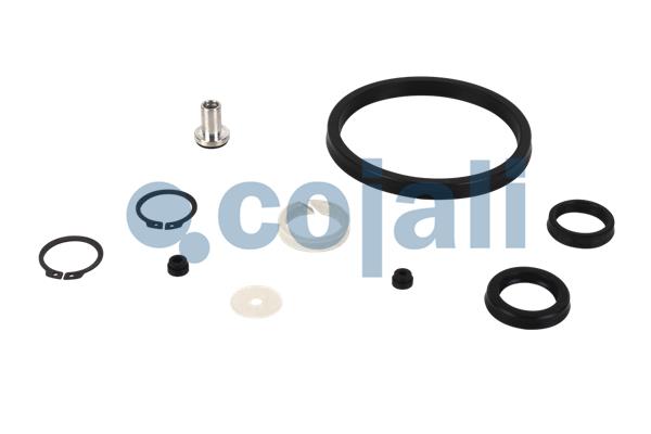 Cojali Koppelingsbekrachtiger reparatieset 6034010