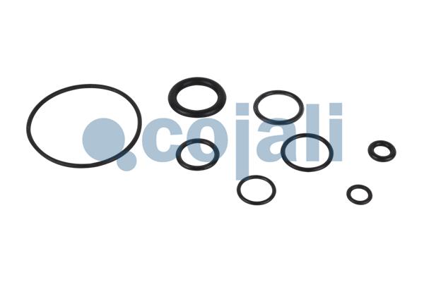 Cojali Koppelingsbekrachtiger reparatieset 6034010
