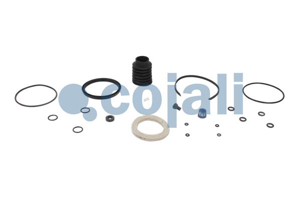 Koppelingsbekrachtiger reparatieset Cojali 6034012