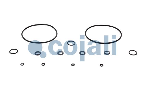 Cojali Koppelingsbekrachtiger reparatieset 6034012
