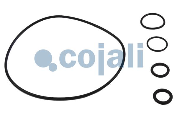 Cojali Koppelingsbekrachtiger reparatieset 6034020
