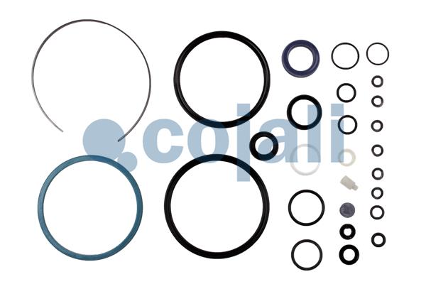 Koppelingsbekrachtiger reparatieset Cojali 6034021