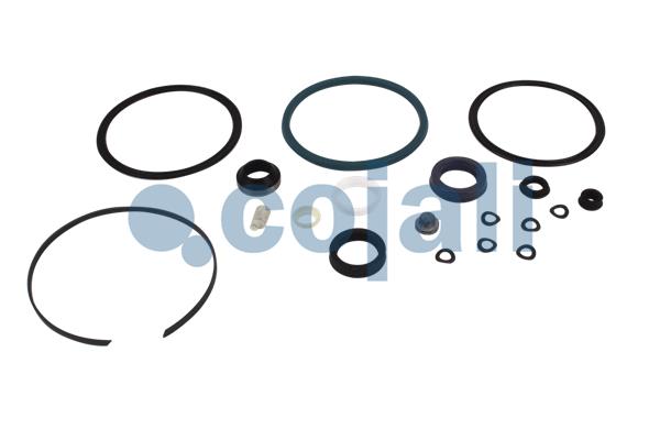 Cojali Koppelingsbekrachtiger reparatieset 6034021