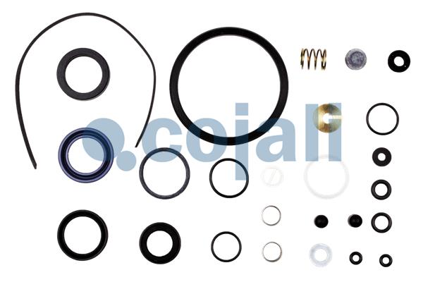 Koppelingsbekrachtiger reparatieset Cojali 6034022