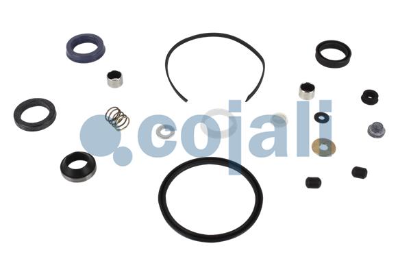 Cojali Koppelingsbekrachtiger reparatieset 6034022