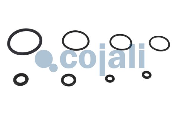 Cojali Koppelingsbekrachtiger reparatieset 6034022