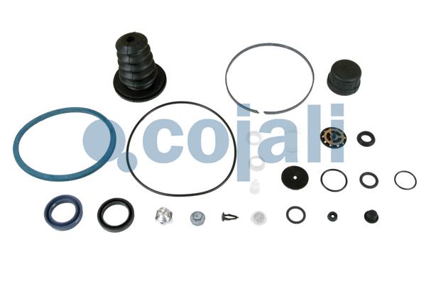 Koppelingsbekrachtiger reparatieset Cojali 6034024