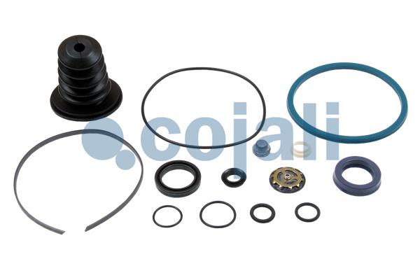 Koppelingsbekrachtiger reparatieset Cojali 6034025