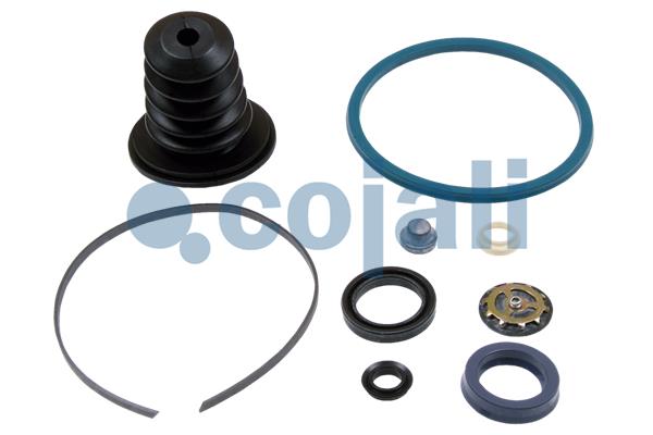 Cojali Koppelingsbekrachtiger reparatieset 6034025
