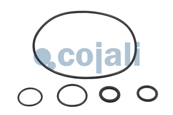 Cojali Koppelingsbekrachtiger reparatieset 6034025