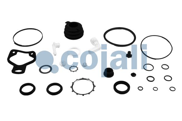 Koppelingsbekrachtiger reparatieset Cojali 6034026