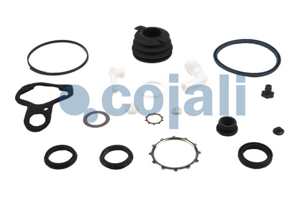 Cojali Koppelingsbekrachtiger reparatieset 6034026