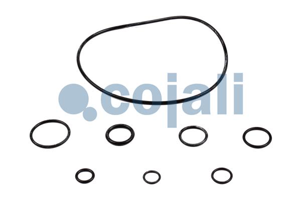 Cojali Koppelingsbekrachtiger reparatieset 6034026