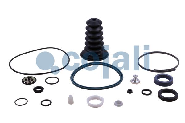 Koppelingsbekrachtiger reparatieset Cojali 6034028