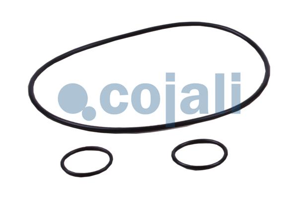 Cojali Koppelingsbekrachtiger reparatieset 6034028