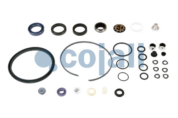 Koppelingsbekrachtiger reparatieset Cojali 6034029