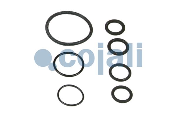 Cojali Koppelingsbekrachtiger reparatieset 6034029