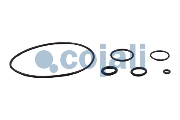 Cojali Koppelingsbekrachtiger reparatieset 6034034
