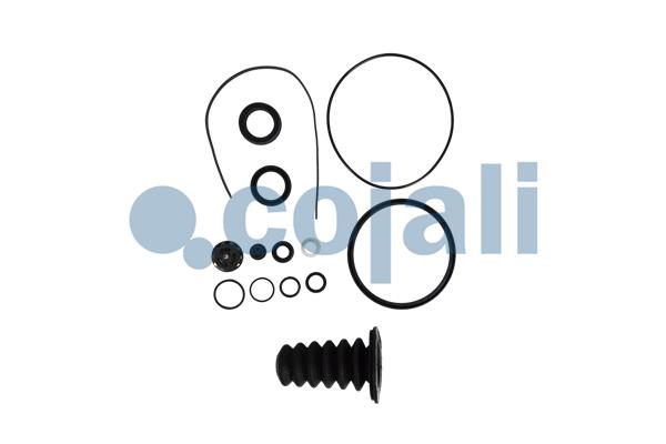 Koppelingsbekrachtiger reparatieset Cojali 6034040