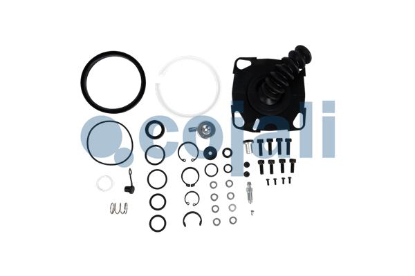Koppelingsbekrachtiger reparatieset Cojali 6034042