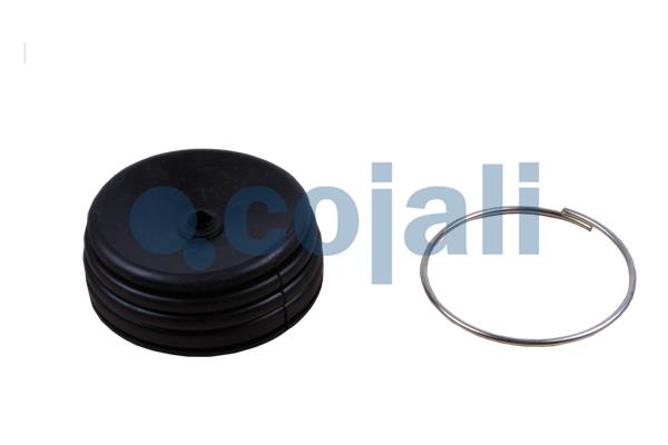 Koppelingsbekrachtiger reparatieset Cojali 6034060