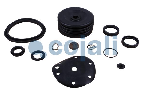 Koppelingsbekrachtiger reparatieset Cojali 6034061