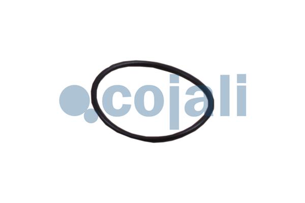Cojali Koppelingsbekrachtiger reparatieset 6034061