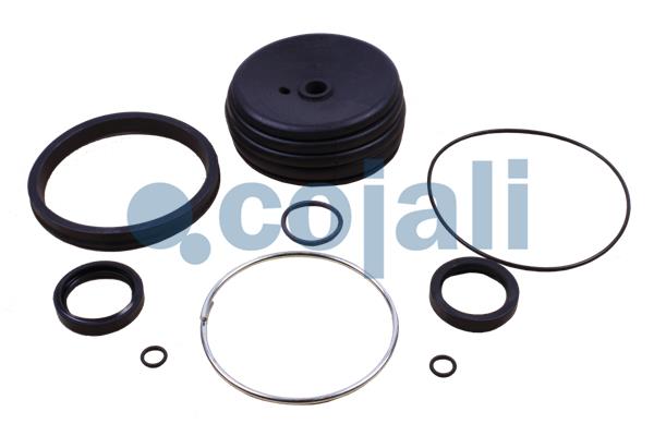 Koppelingsbekrachtiger reparatieset Cojali 6034062
