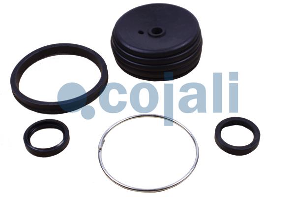 Cojali Koppelingsbekrachtiger reparatieset 6034062