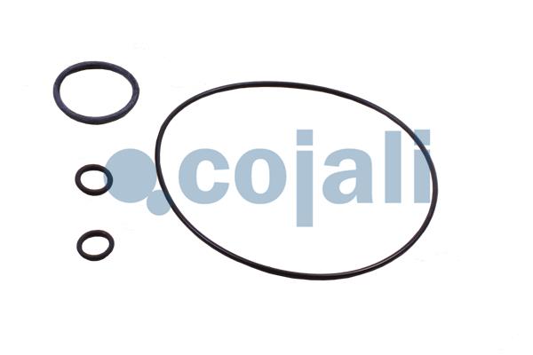 Cojali Koppelingsbekrachtiger reparatieset 6034062