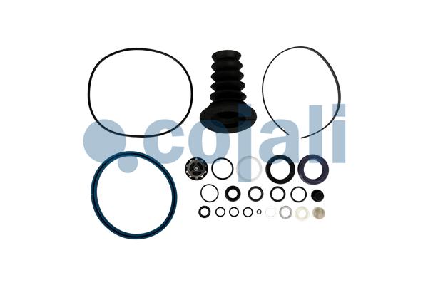 Koppelingsbekrachtiger reparatieset Cojali 6034063