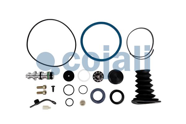 Koppelingsbekrachtiger reparatieset Cojali 6034064