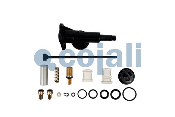 Koppelingsbekrachtiger reparatieset Cojali 6034065