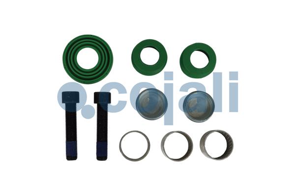 Cojali Remklauw revisie 6082024