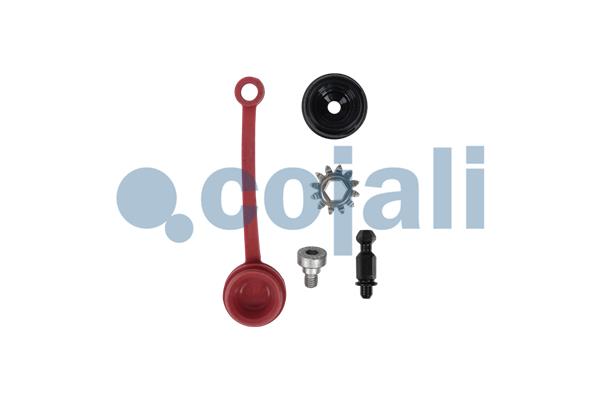 Remklauw revisie Cojali 6082025