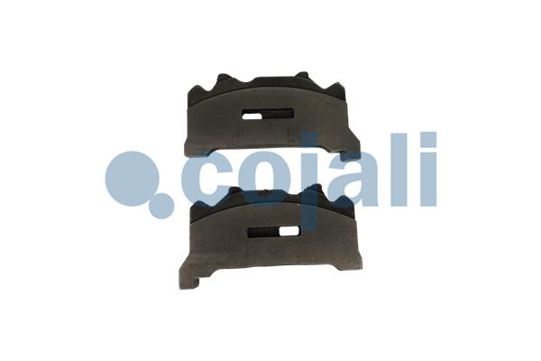 Cojali Remklauw revisie 6082034