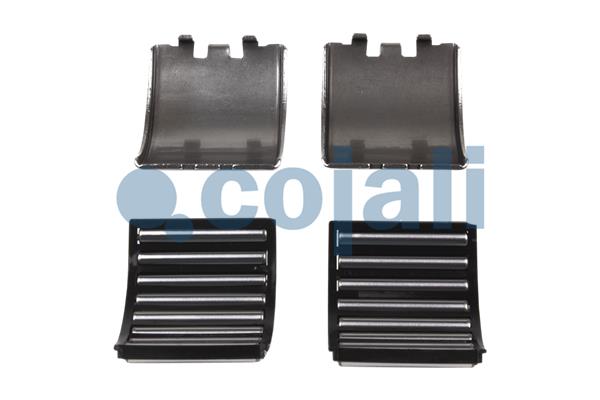 Remklauw revisie Cojali 6082508