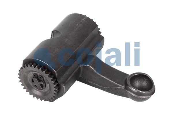 Cojali Remklauw revisie 6082511