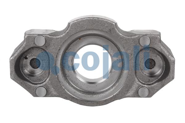 Cojali Remklauw revisie 6082513