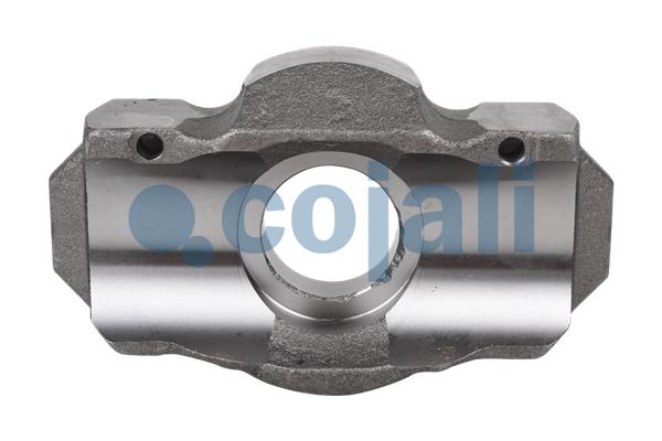 Cojali Remklauw revisie 6082513