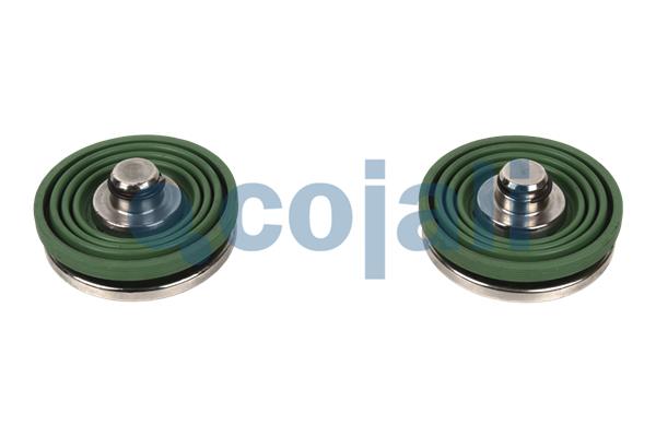 Remklauw revisie Cojali 6082517