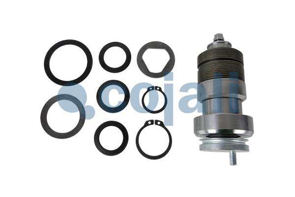 Remklauw revisie Cojali 6082534