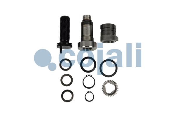 Remklauw revisie Cojali 6082535