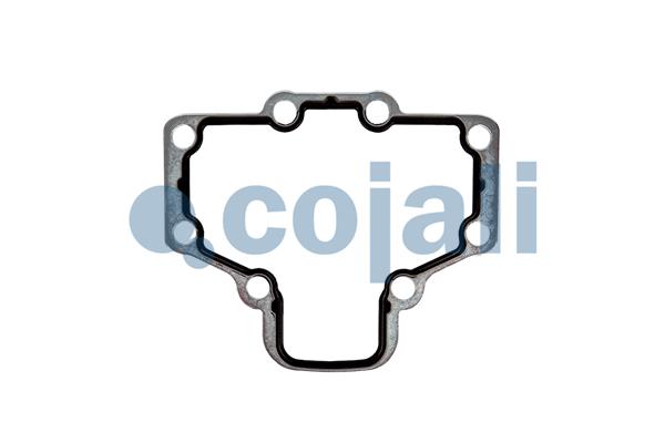 Remklauw revisie Cojali 6082538