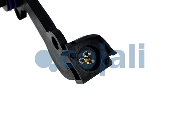 Cojali Remklauw revisie 6082563