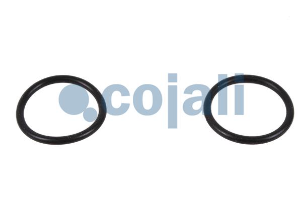 Cojali Remklauw revisie 6083001